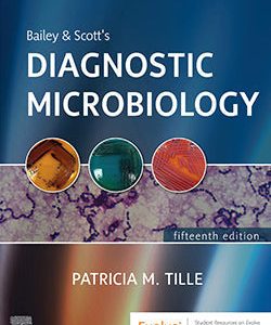 4353543_152f56c4-e242-4d6e-84d2-3d705acc25dd-250x300-1.jpg - Magictransferidea