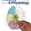 Anatomy-Physiology-Coloring-Workbook-A-Complete-Study-Guide-12e-12th-Edition.jpg - Magictransferidea