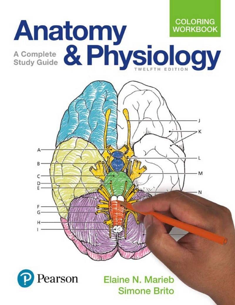Anatomy-Physiology-Coloring-Workbook-A-Complete-Study-Guide-12e-12th-Edition.jpg - Magictransferidea