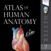 Atlas-of-Human-Anatomy-Netter-Basic-Science-7th-Edition.jpg - Magictransferidea