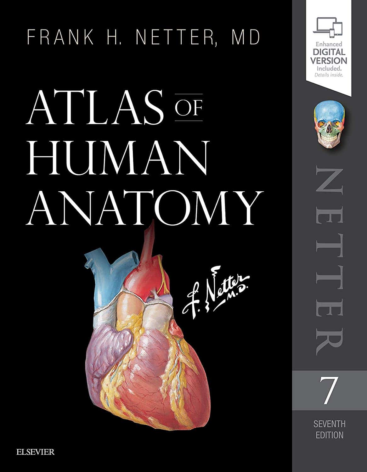 Atlas-of-Human-Anatomy-Netter-Basic-Science-7th-Edition.jpg - Magictransferidea