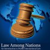 Law-Among-Nations-An-Introduction-to-Public-International-Law-11th-Edition-300x300-1.jpg - Magictransferidea
