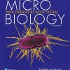 Microbiology-with-Diseases-by-Body-System-5e-5th-Edition.jpg - Magictransferidea