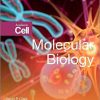 Molecular-Biology-3rd-Edition.jpg - Magictransferidea