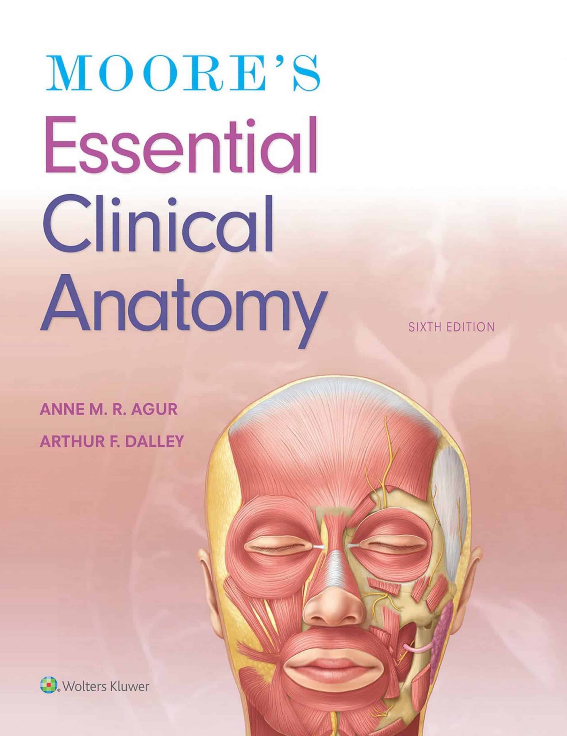 Moores-Essential-Clinical-Anatomy-6th-Edition-by-Anne-Agur-and-Arthur-Dalley.jpg - Magictransferidea