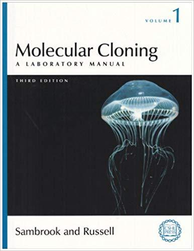 QI1xnl.jpg - Magictransferidea