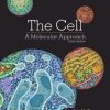 The-Cell-A-Molecular-Approach-1.jpg - Magictransferidea