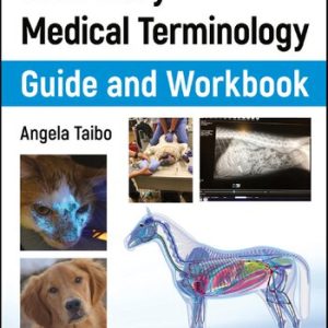 Veterinary-Medical-Terminology-Guide-and-Workbook-2nd-Edition-300x300-1.jpg - Magictransferidea