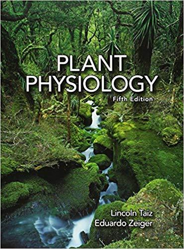 zfzxSQ.jpg - Magictransferidea